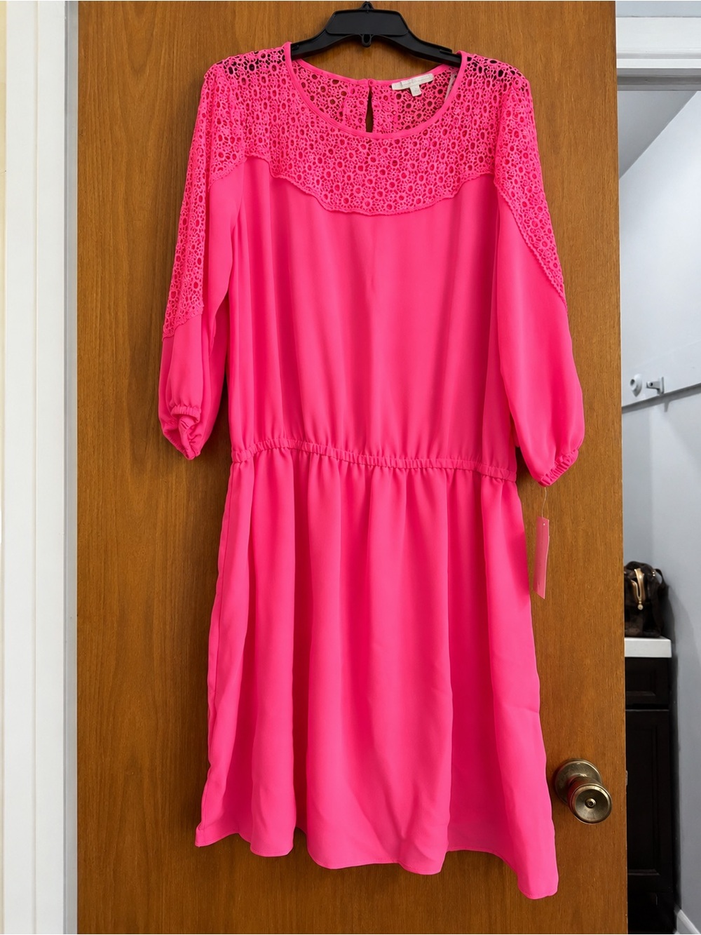 Gibson Latimer Hot Pink Lace-Yoke Long Sleeve Dress